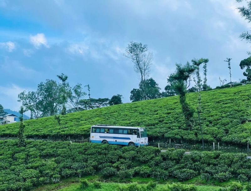 Kochi: Private Kerala Scenic Beauty Day Tour with Lunch - Kochi to Nelliyampathy, with the hills as the main event