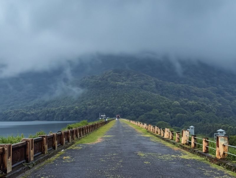 Kochi: Private Kerala Scenic Beauty Day Tour with Lunch - What the long day means in practice