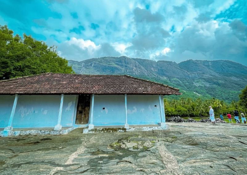 Kochi: Private Kerala Scenic Beauty Day Tour with Lunch - Price, inclusions and value