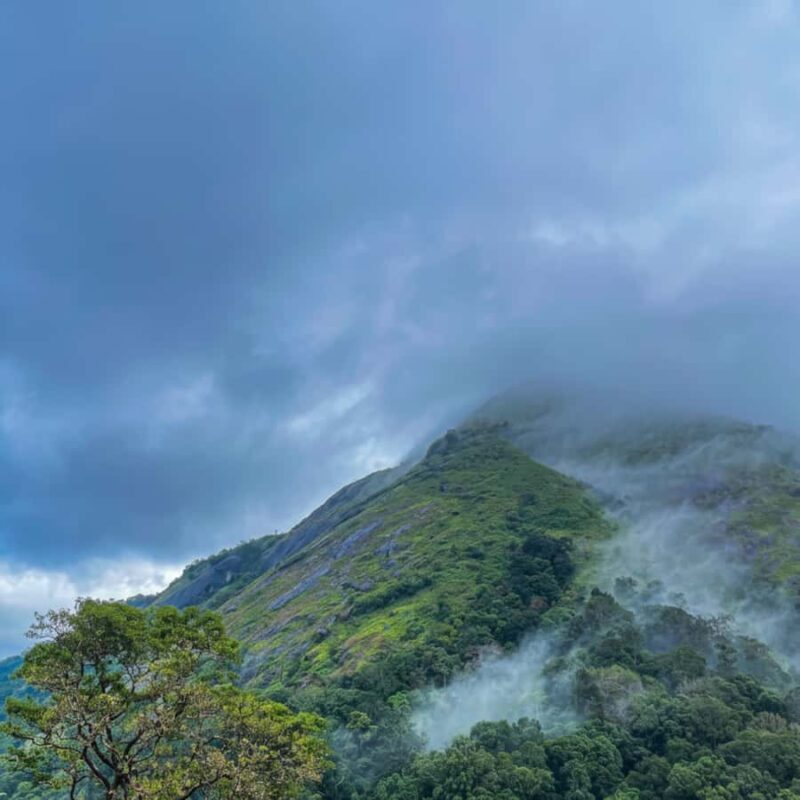 Kochi: Private Kerala Scenic Beauty Day Tour with Lunch - FAQs