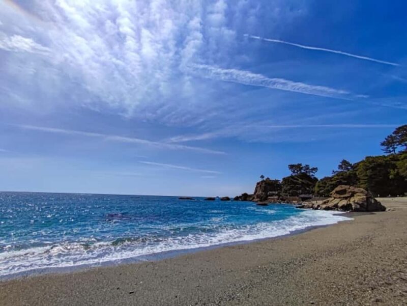 Kochi: Private Shore Excursion for cruise passenger - In-Depth Look at the Itinerary