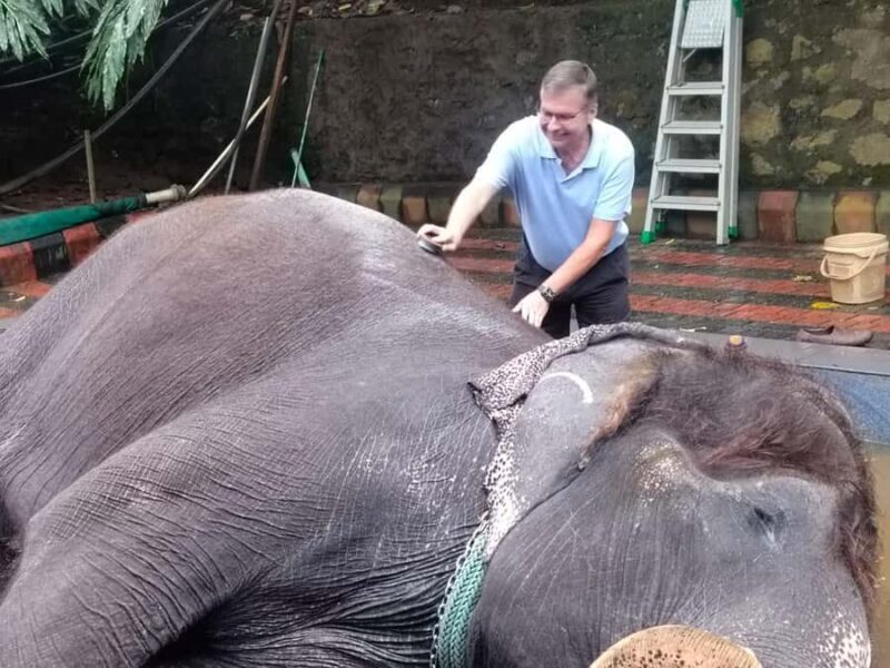 Kochi:- Same Day Periyar Wildlife Tour with Elephant Bath - Introduction