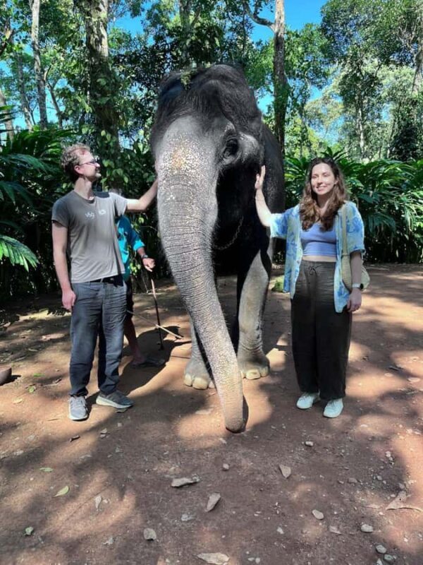 Kochi:- Same Day Periyar Wildlife Tour with Elephant Bath - Good To Know