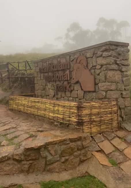 Kochi to Munnar: Eravikulam, Tea Estate and Waterfalls - Good To Know