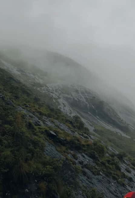 Kochi to Munnar: Eravikulam, Tea Estate and Waterfalls - Practical Details: Transport, Timing, and Value