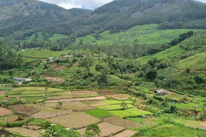 Kochi to Munnar Private Full Day Guided Tour With Hotel Pickup - Who Will Love This Tour?