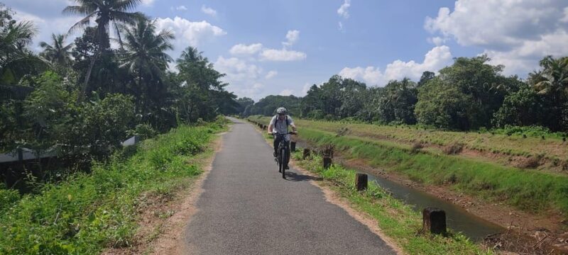 Kochi to Thattekkad - What to Expect from the Tour