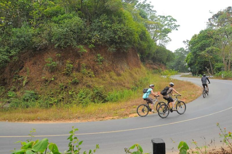 Kochi to Thattekkad - Authentic Insights from Reviews