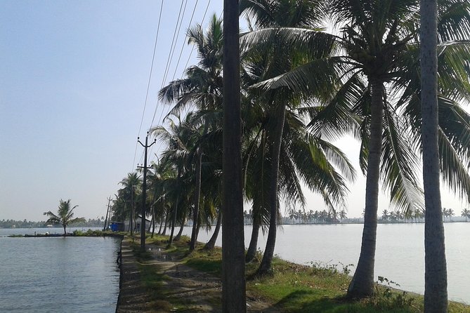 Kochi Village Life Experience Tour - the Real Tour of Kochi ! - Pricing and Booking Information