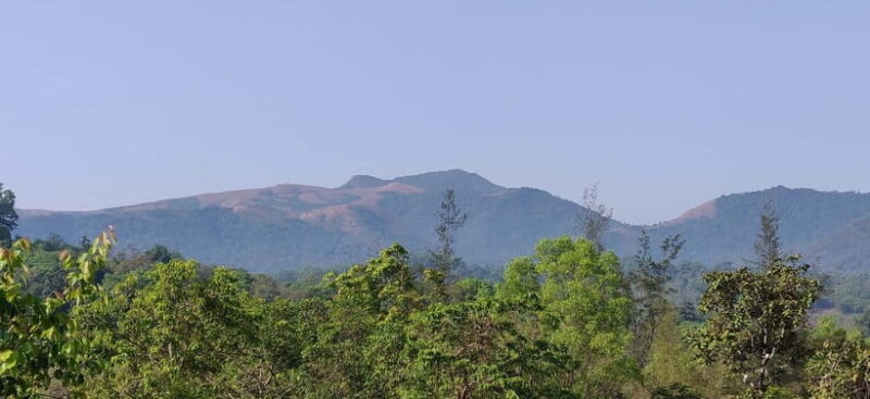 Kodachadri: Summit Trek with forest and cave experience - The Essence of the Kodachadri Trek