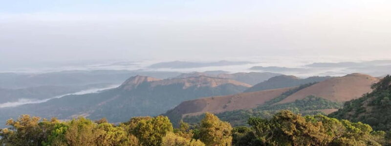 Kodachadri: Summit Trek with forest and cave experience - The Sum Up