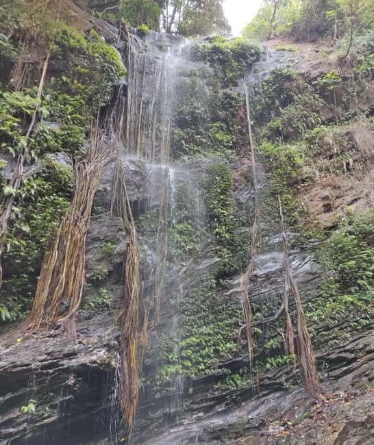 Kodachadri: Summit Trek with forest and cave experience - FAQ