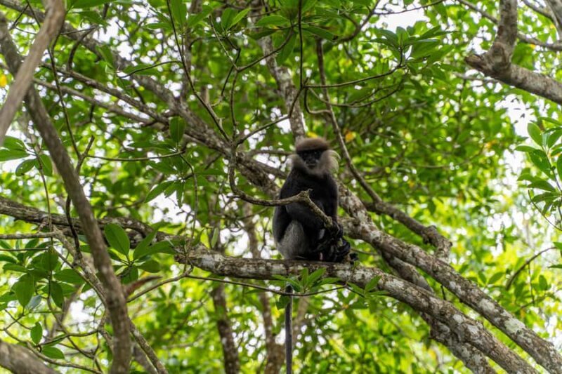 Koggala Lake Boat Safari with Malish - Good To Know