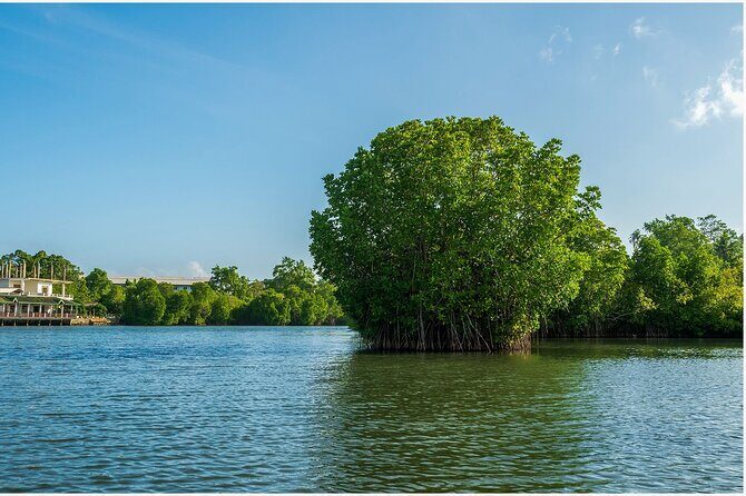 Koggala Lake Boat Safari with Malish - FAQ