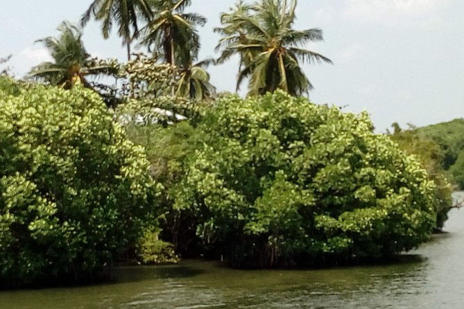 Koggala Lake Boat Tour - Reviews