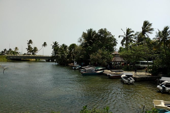 Koggala Lake Boat Tour - Questions and Support