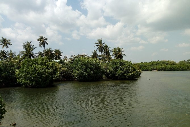 Koggala Lake Boat Tour - The Sum Up