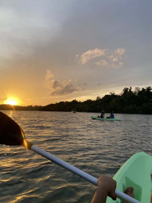 Koggala Lake Kayak Adventure with Malish - Good To Know