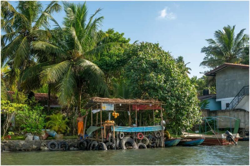 Koggala Lake Kayak Adventure with Malish - Authentic Experiences and Guest Feedback