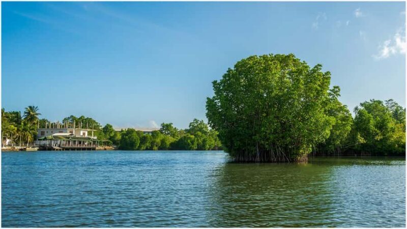 Koggala Lake Kayak Adventure with Malish - The Sum Up: Who Is This Tour Perfect For?