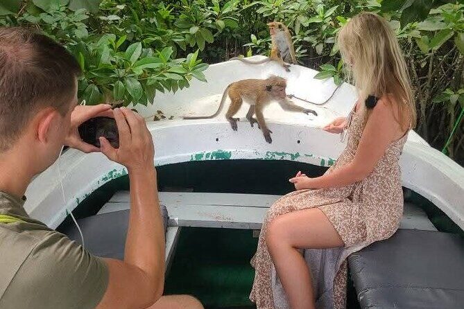 Koggala Lake Safari: Monkeys, Wildlife & Cinnamon Island Visit - Good To Know