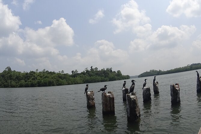 Koggala Lake Tour - Inclusions
