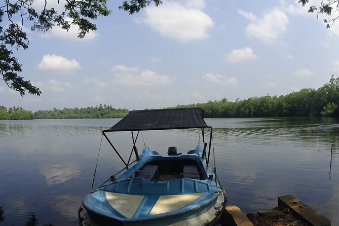 Koggala Lake Tour - What to Expect