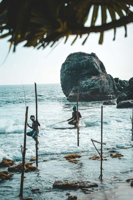 Koggala: Stilt Fishing Experience - An In-Depth Look at the Koggala Stilt Fishing Tour