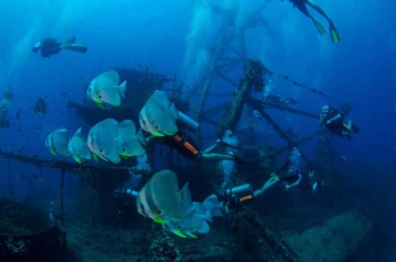 Koh Chang: 1-Day Dive Trip to Top Underwater Sites - Final Thoughts: Who Is This Tour Best For?