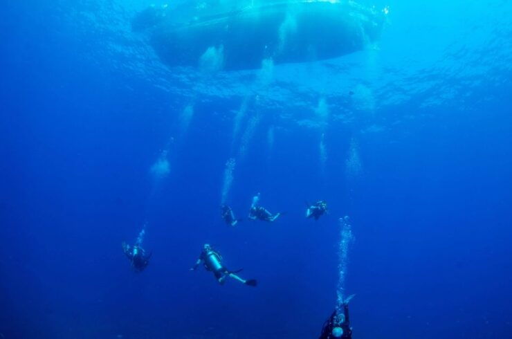 Koh Chang: 1-Day Diving Trip - Booking Details