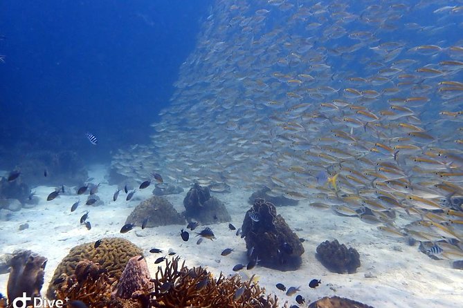 Koh Chang Dive Trip Including 3 Dives (Start at Koh Chang) - Booking and Pricing Information