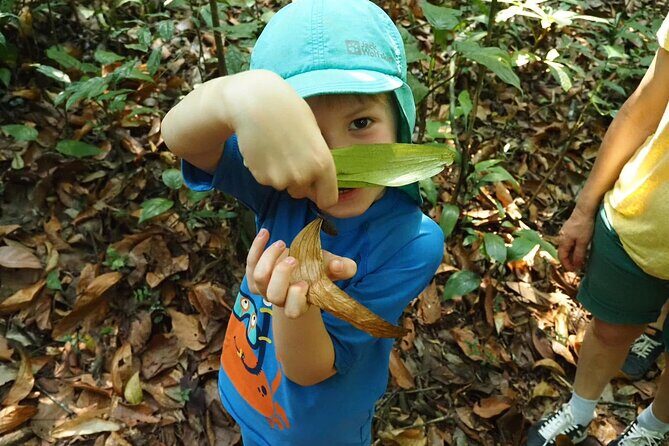 Koh Chang Family and Beginner Jungle Trek with Hotel Pickup - The Sum Up