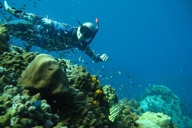 Koh Chang Freedive Trip ( Start at Koh Chang) - Common Questions