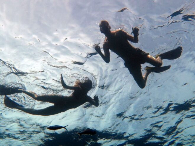 Koh Chang: Full-Day Reefs or Wreck Sites Snorkeling Trip - Review Summary