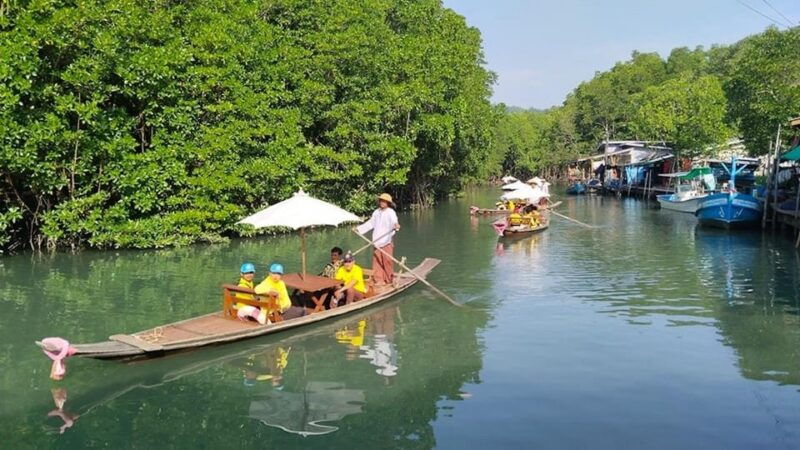 Koh Chang: Mangrove Forest Gondola Tour - Good To Know
