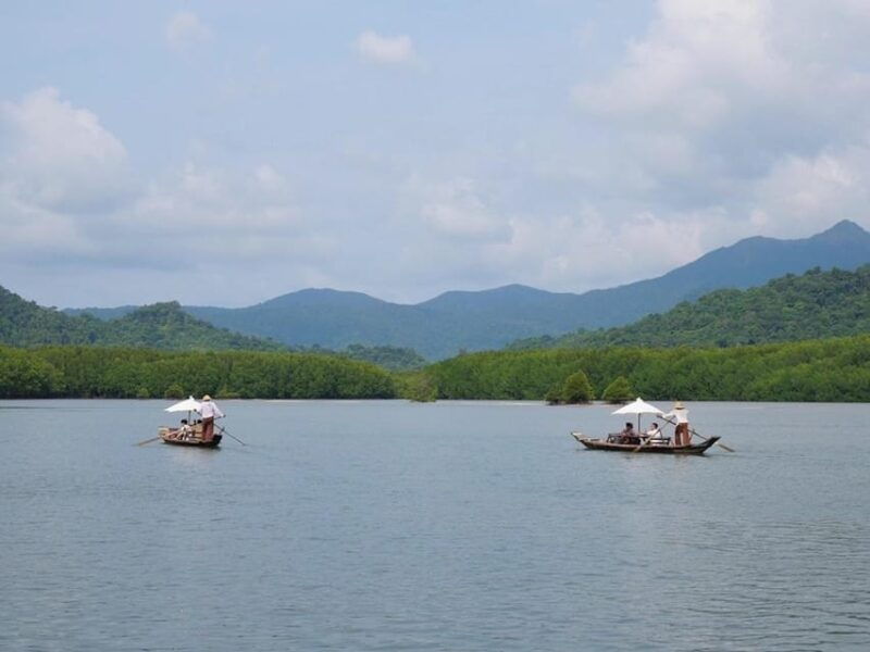 Koh Chang: Mangrove Forest Gondola Tour - Booking Information