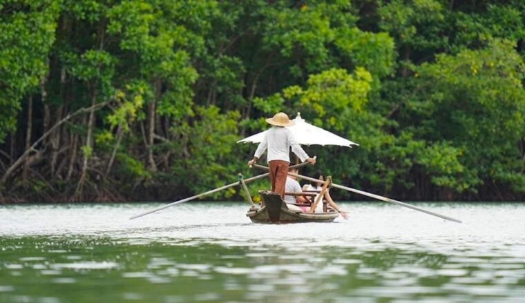 Koh Chang: Mangrove Forest Gondola Tour - Taking in Nature