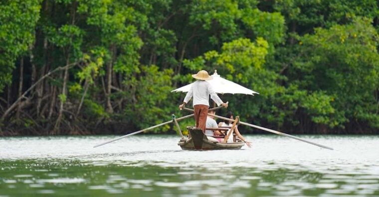 Koh Chang: Mangrove Forest Gondola Tour - Experiential Features