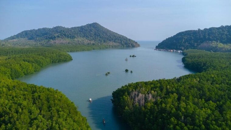 Koh Chang: Mangrove Forest Gondola Tour - Accessibility Considerations