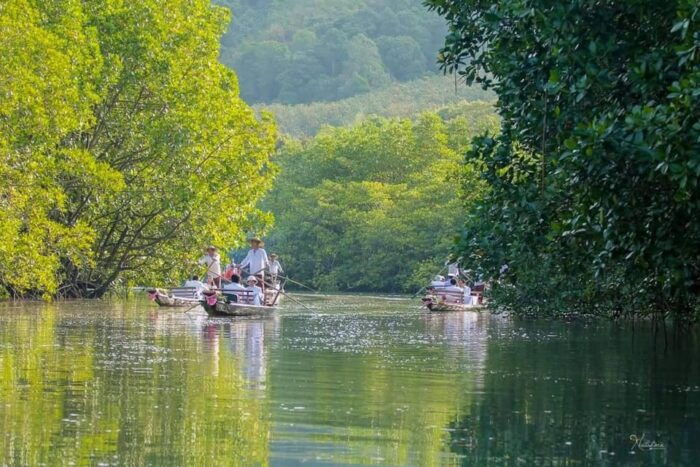Koh Chang: Mangrove Forest Gondola Tour - Customer Testimonials