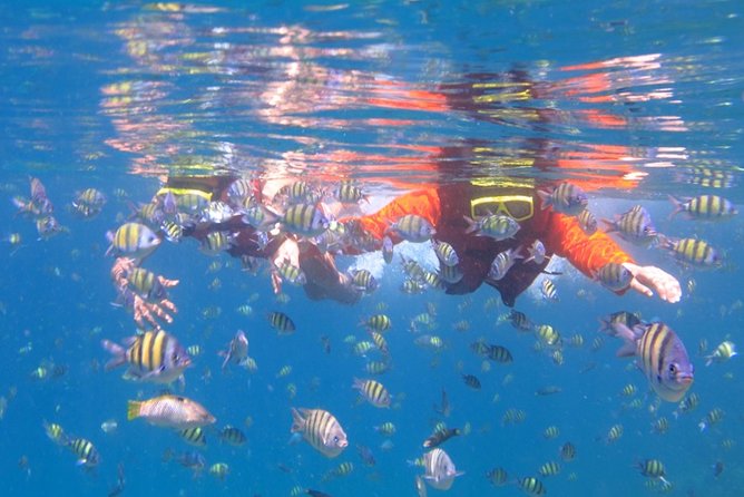 Koh Hey in Half a Day - Directions