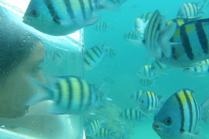 Koh Hey in Half a Day - Common Questions