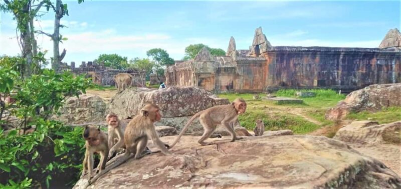 Koh Ker & Beng Mealea Temple Full-Day Tour from Siem Reap - The Return Journey and Evening Relaxation