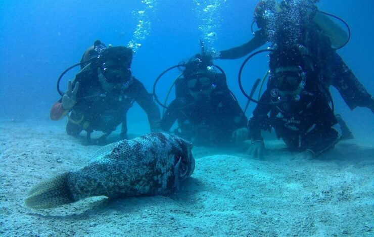 Koh Kood: Discover Scuba Diving for Beginners With 2 Dives - Activity Details