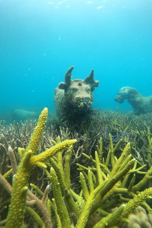 Koh Kood or Koh Rang: Snorkeling Trip With Lunch & Transfer - Detailed Itinerary
