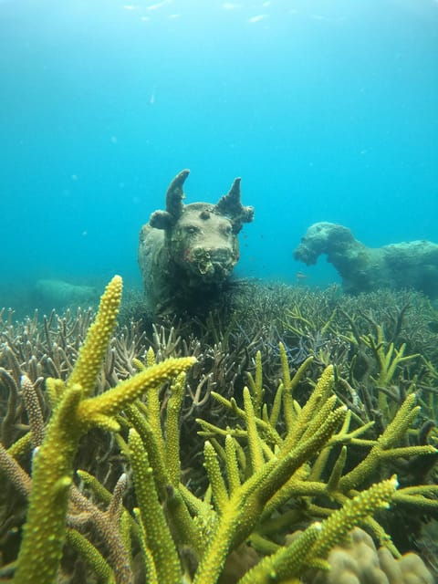 Koh Kood or Koh Rang: Snorkeling Trip With Lunch & Transfer - Snorkeling Experience Highlights