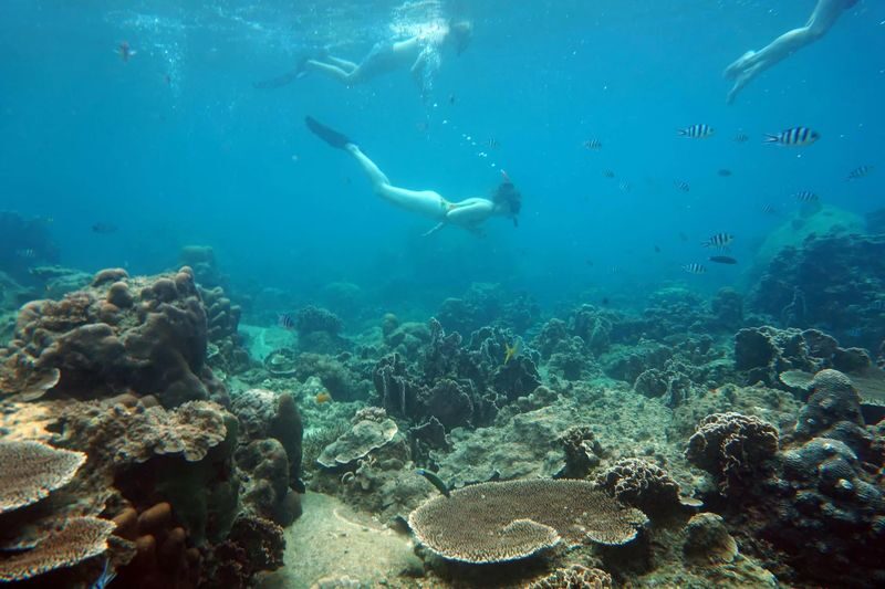 Koh Kood Snorkel Experience with PADI 5 Star center - Three stops make for a more flexible snorkelling day