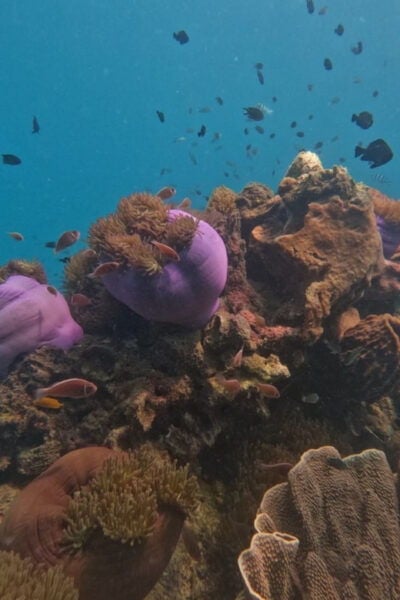 Koh Kood: Snorkeling Speedboat Tour With Lunch and Transfer - Break Down