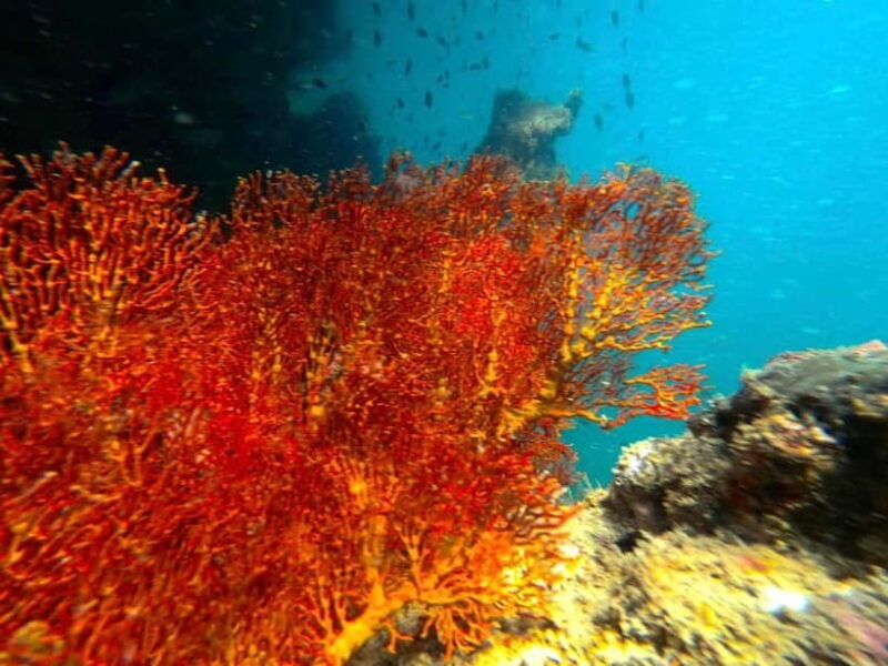 Koh Lanta: 4 Islands and Emerald Cave Snorkeling Trip - Good To Know