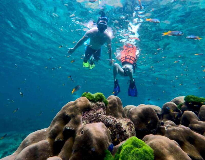 Koh Lanta: 4 Islands, Emerald Cave & Koh Kradan by Speedboat - An In-Depth Look at the Tour Experience